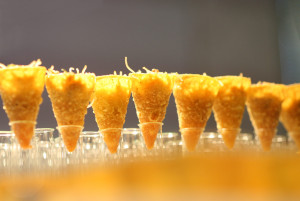 Catering8